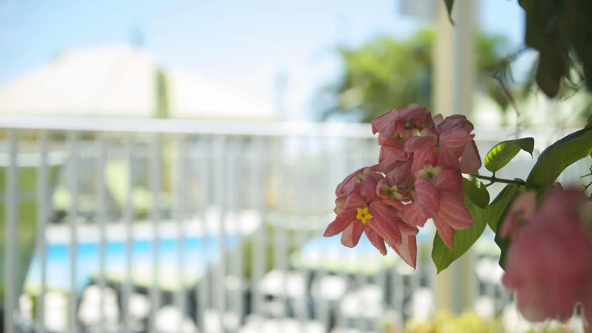 Holiday home Village De Bragelogne Saint-Francois  Guadeloupe
